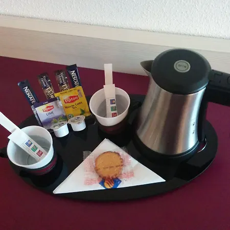 Western Expo Hotel Colmar